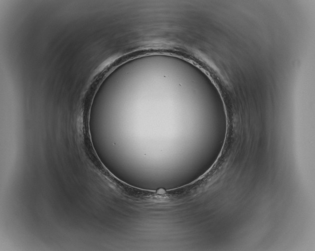 X0000112911315200908311229