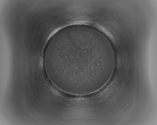 X0000112911316200908311229