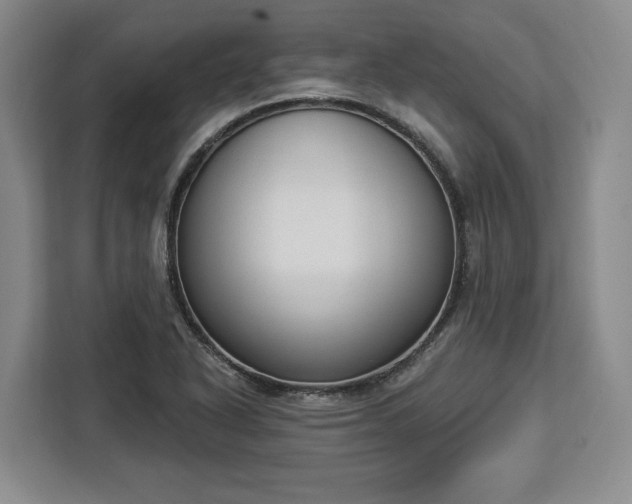 X0000112911318200908311229