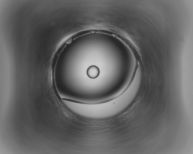 X0000112911320200908311229