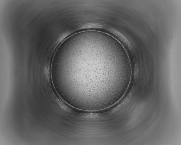 X0000112911321200908311229