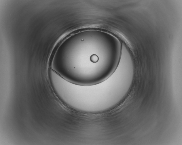 X0000112911324200908311229