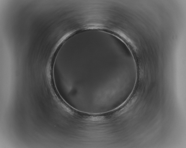 X0000112911325200908311229