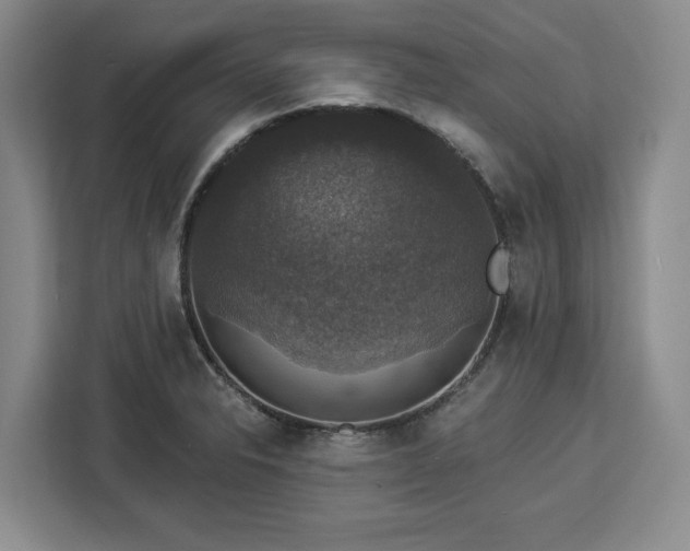 X0000112911326200908311229