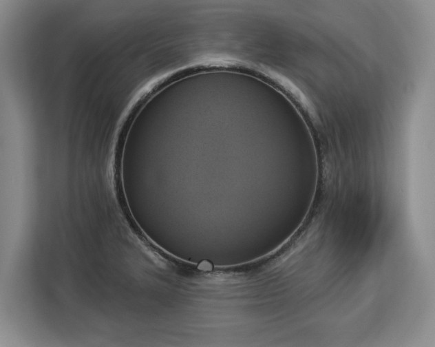 X0000112911327200908311229