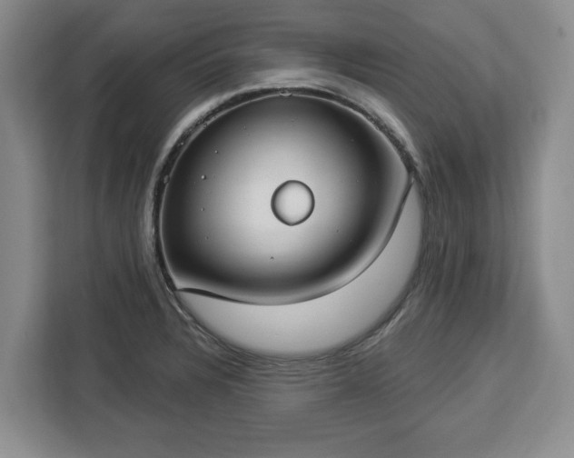 X0000112911328200908311229