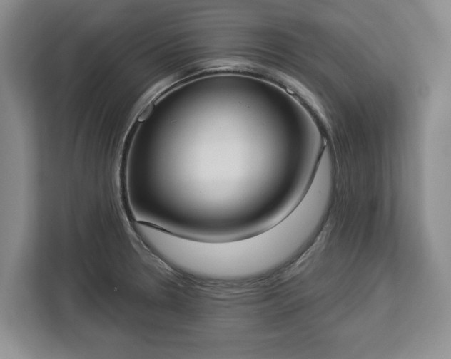 X0000112911330200908311229