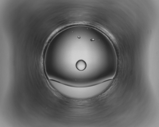 X0000112911332200908311229