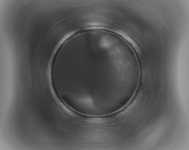 X0000112911333200908311229