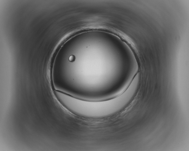 X0000112911334200908311229