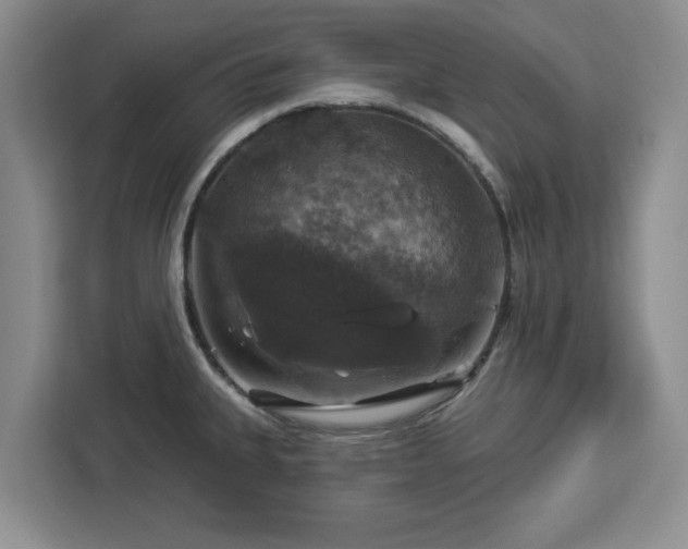 X0000112911335200908311229