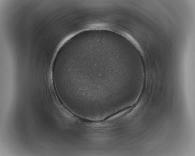 X0000112911336200908311229