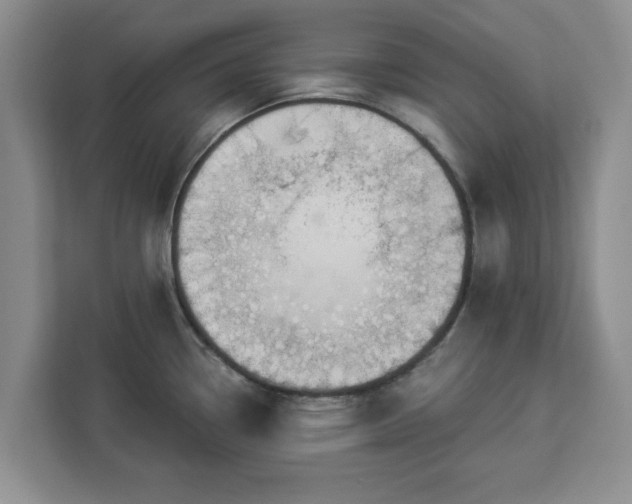 X0000112911338200908311229