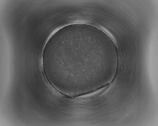 X0000112911340200908311229