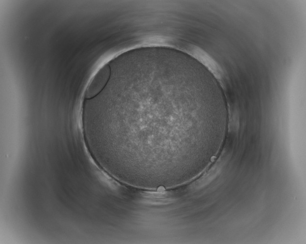 X0000112911342200908311229