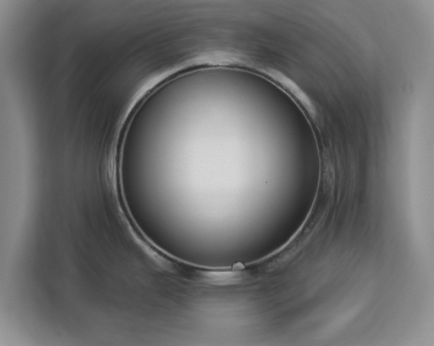 X0000112911343200908311229