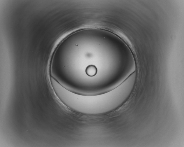 X0000112911344200908311229