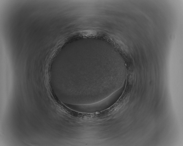 X0000112911345200908311229