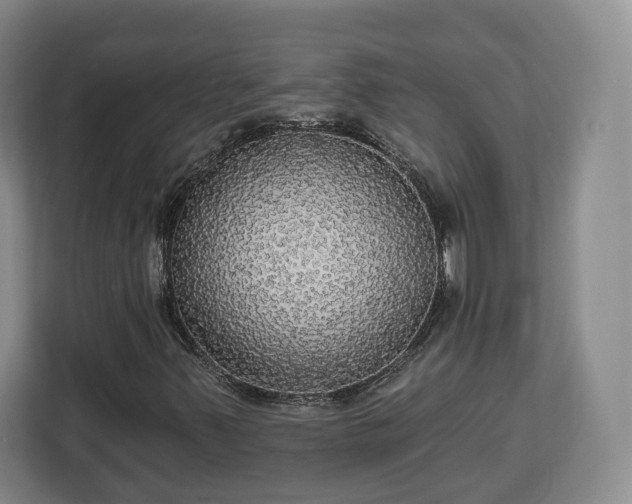 X0000112911347200908311229