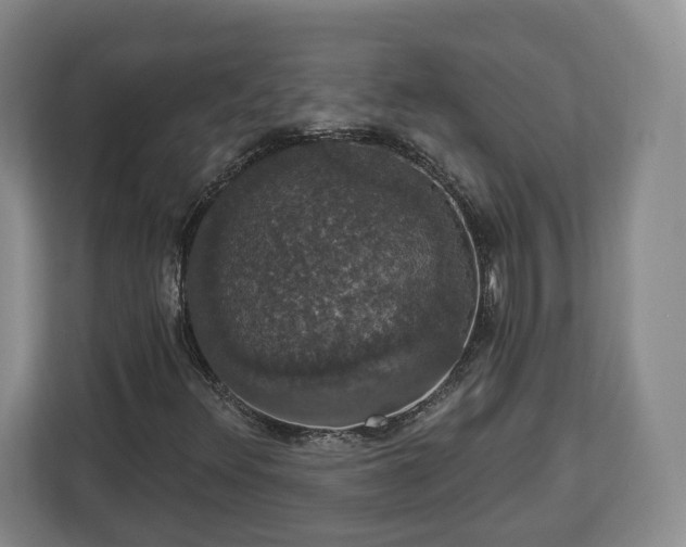 X0000112911348200908311229