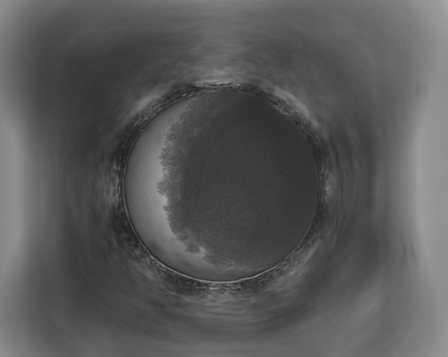 X0000112911350200908311229