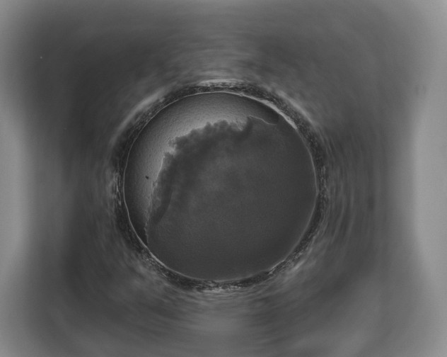 X0000112911351200908311229