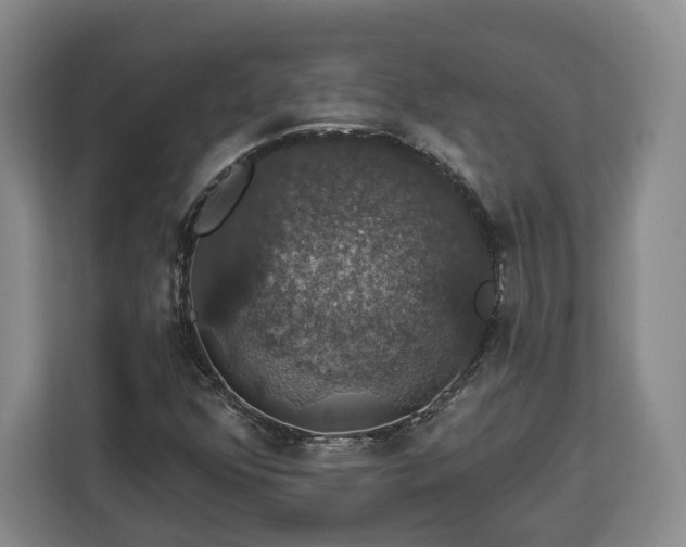 X0000112911352200908311229