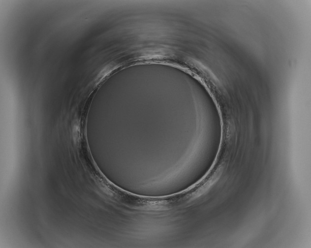 X0000112911353200908311229