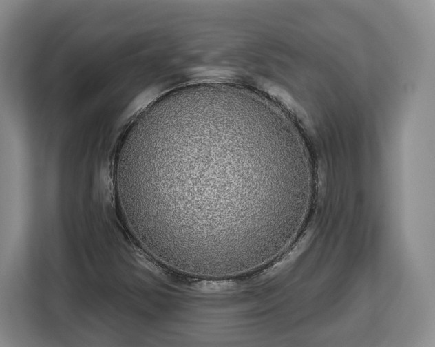 X0000112911354200908311229