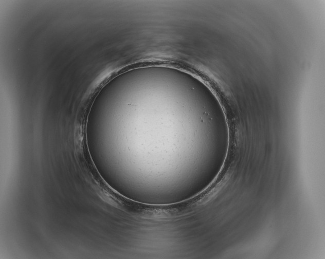 X0000112911355200908311229