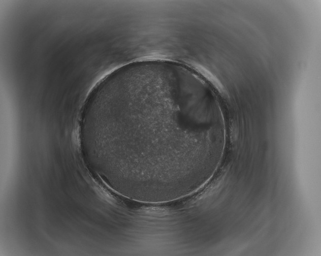 X0000112911356200908311229