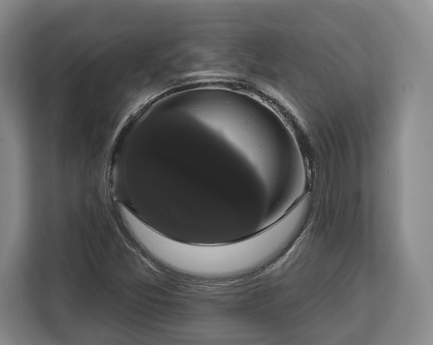 X0000112911357200908311229