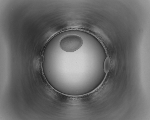 X0000112911361200908311229