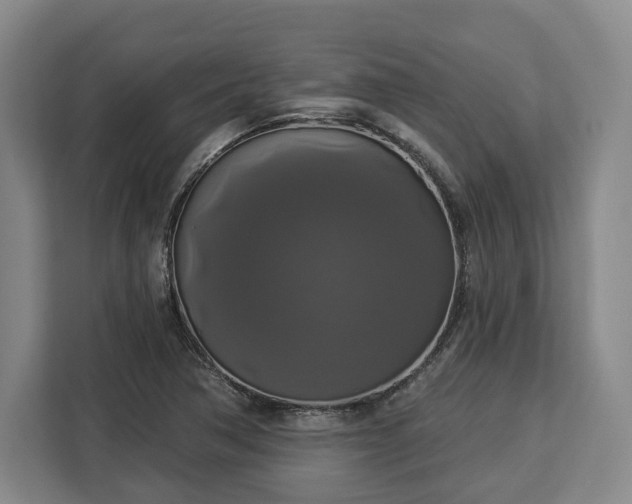 X0000112911362200908311229