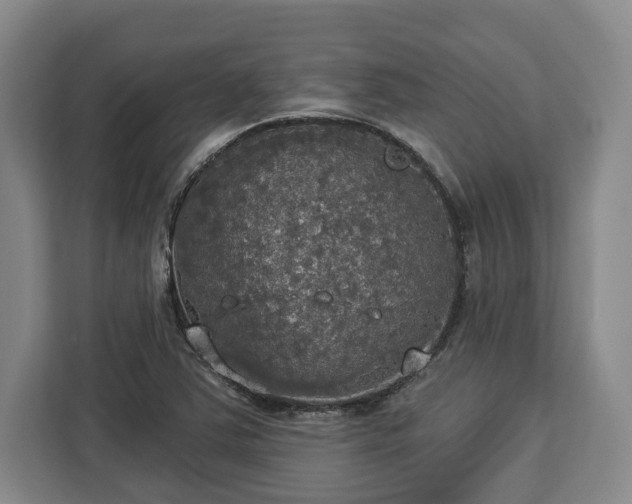 X0000112911363200908311229