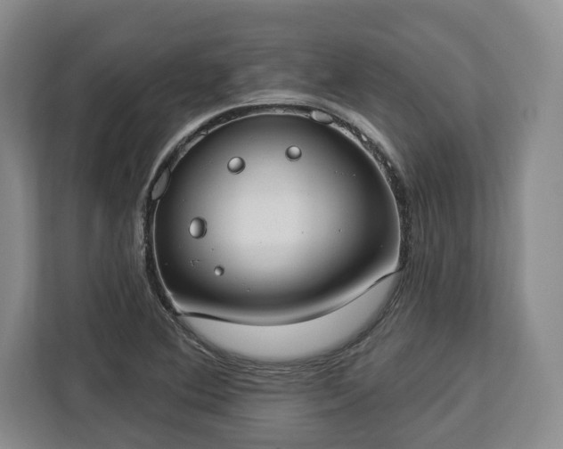 X0000112911364200908311229