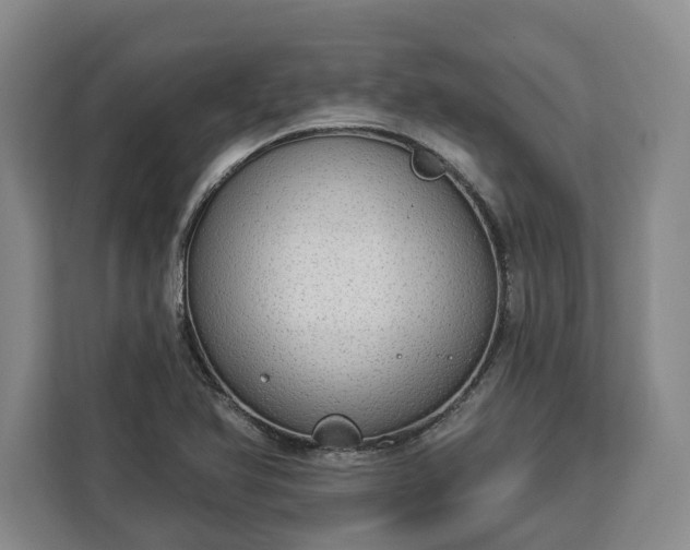 X0000112911366200908311229