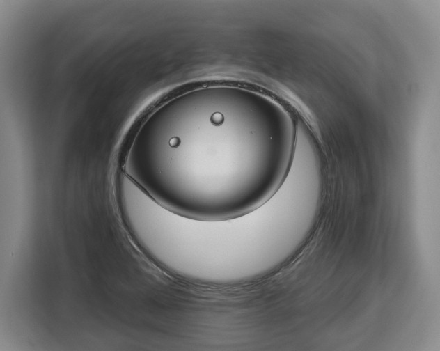 X0000112911368200908311229