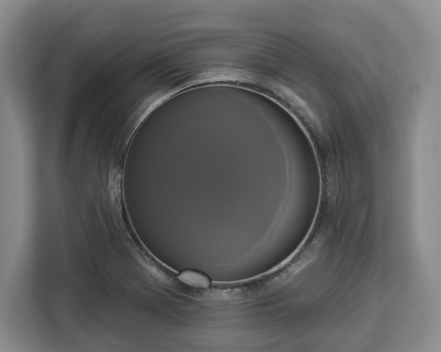 X0000112911369200908311229