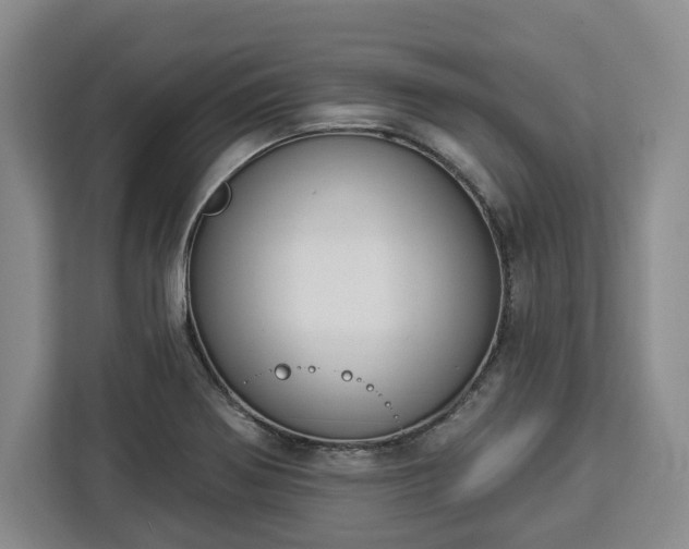 X0000112911370200908311228