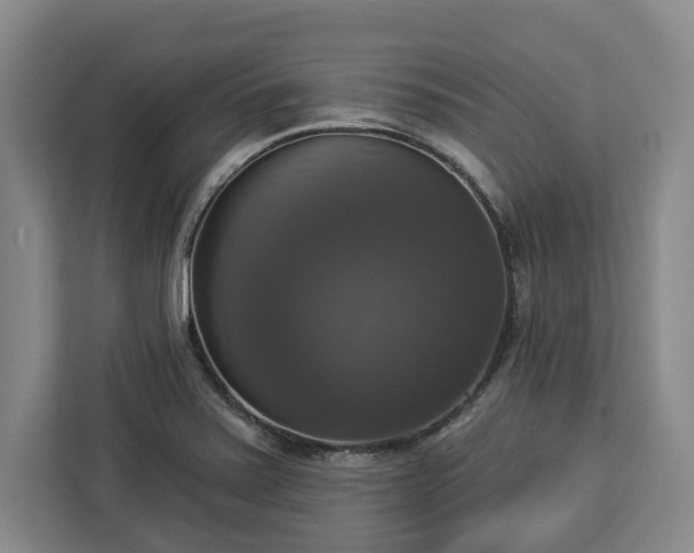 X0000112911371200908311228