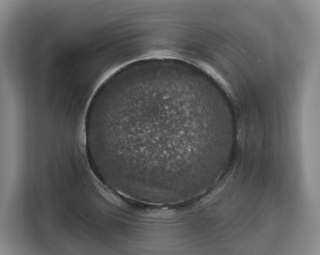 X0000112911372200908311228