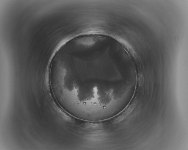 X0000112911374200908311228