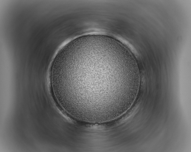 X0000112911375200908311228