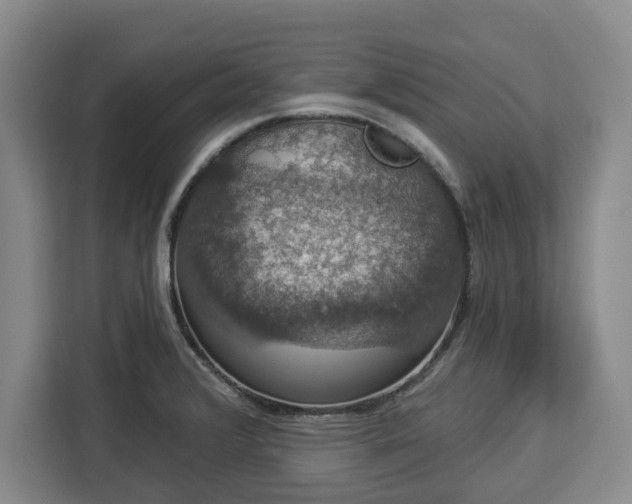 X0000112911376200908311228