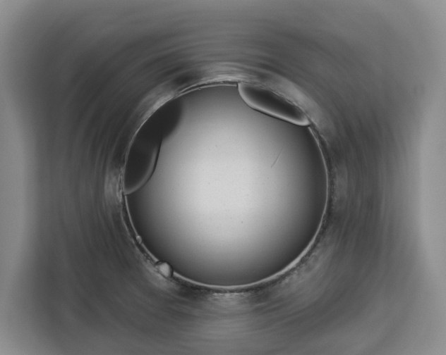 X0000112911377200908311228