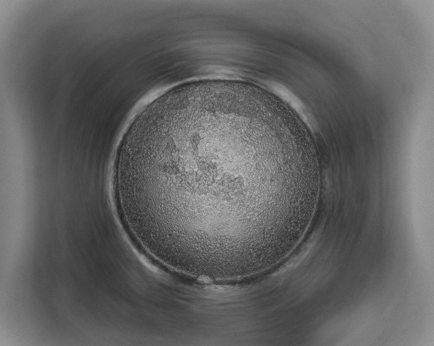 X0000112911379200908311228