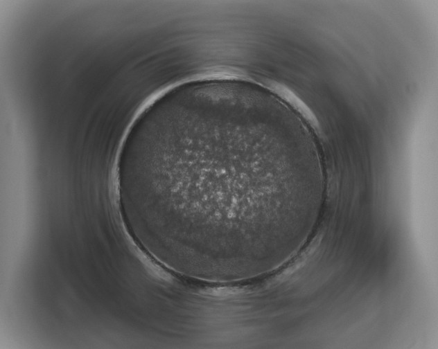 X0000112911380200908311228