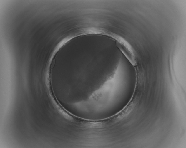 X0000112911381200908311228