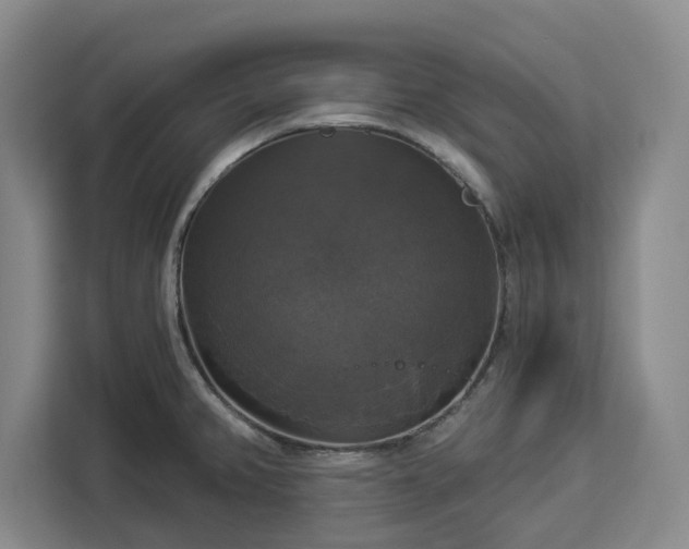 X0000112911382200908311228